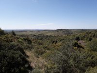 Serge 2019 CaussesVeyran (2)